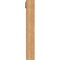 Ekena Millwork Funston Traditional Smooth Bracket w/ Offset Brace, Western Red Cedar, 5 1/2"W x 26"D x 38"H BKT0604X26X38FST01SWR - alternate 3